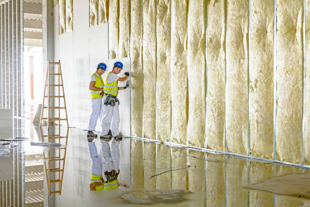 Best Geographic-Specific Insulation Services in Morrow, OH